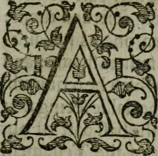 An illustration from The orator: handling a hundred seuerall discourses, in forme of declamations: some of the arguments being drawne from Titus Liuius and other ancient writers, the rest of the authors owne inuention: part of which are of matters happened in our age, 1596, leaf 170