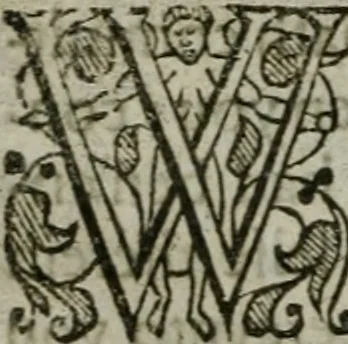 An illustration from The orator: handling a hundred seuerall discourses, in forme of declamations: some of the arguments being drawne from Titus Liuius and other ancient writers, the rest of the authors owne inuention: part of which are of matters happened in our age, 1596, leaf 173