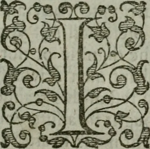 An illustration from The orator: handling a hundred seuerall discourses, in forme of declamations: some of the arguments being drawne from Titus Liuius and other ancient writers, the rest of the authors owne inuention: part of which are of matters happened in our age, 1596, leaf 182