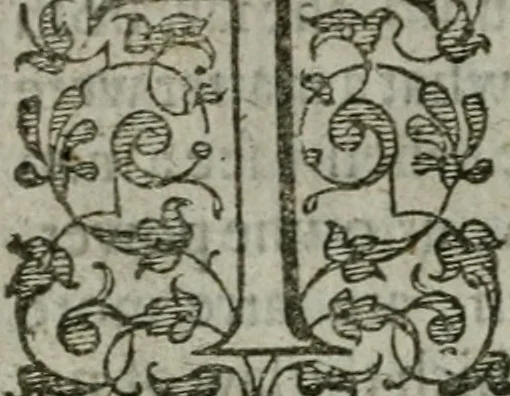 An illustration from The orator: handling a hundred seuerall discourses, in forme of declamations: some of the arguments being drawne from Titus Liuius and other ancient writers, the rest of the authors owne inuention: part of which are of matters happened in our age, 1596, leaf 205