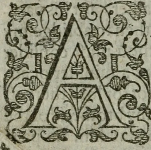 An illustration from The orator: handling a hundred seuerall discourses, in forme of declamations: some of the arguments being drawne from Titus Liuius and other ancient writers, the rest of the authors owne inuention: part of which are of matters happened in our age, 1596, leaf 217