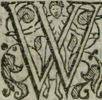 An illustration from The orator: handling a hundred seuerall discourses, in forme of declamations: some of the arguments being drawne from Titus Liuius and other ancient writers, the rest of the authors owne inuention: part of which are of matters happened in our age, 1596, leaf 219