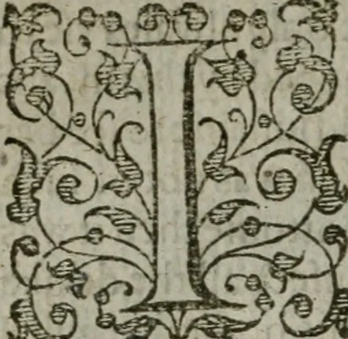An illustration from The orator: handling a hundred seuerall discourses, in forme of declamations: some of the arguments being drawne from Titus Liuius and other ancient writers, the rest of the authors owne inuention: part of which are of matters happened in our age, 1596, leaf 223