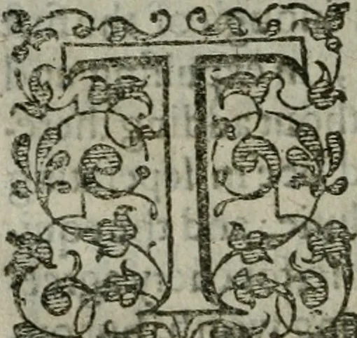 An illustration from The orator: handling a hundred seuerall discourses, in forme of declamations: some of the arguments being drawne from Titus Liuius and other ancient writers, the rest of the authors owne inuention: part of which are of matters happened in our age, 1596, leaf 225