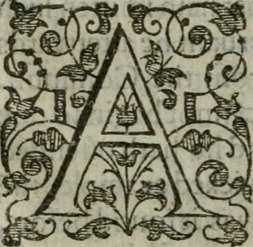 An illustration from The orator: handling a hundred seuerall discourses, in forme of declamations: some of the arguments being drawne from Titus Liuius and other ancient writers, the rest of the authors owne inuention: part of which are of matters happened in our age, 1596, leaf 229