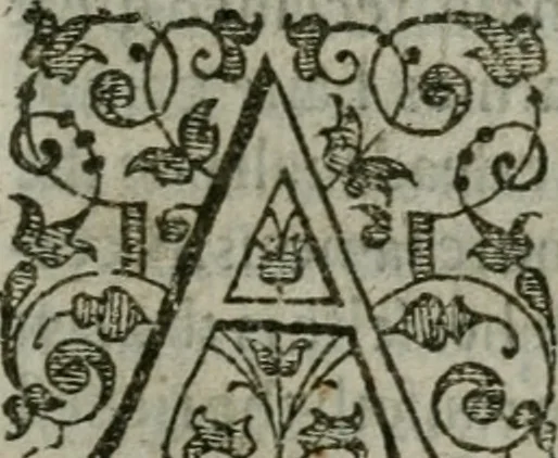 An illustration from The orator: handling a hundred seuerall discourses, in forme of declamations: some of the arguments being drawne from Titus Liuius and other ancient writers, the rest of the authors owne inuention: part of which are of matters happened in our age, 1596, leaf 238