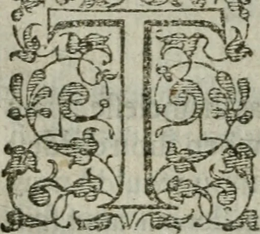 An illustration from The orator: handling a hundred seuerall discourses, in forme of declamations: some of the arguments being drawne from Titus Liuius and other ancient writers, the rest of the authors owne inuention: part of which are of matters happened in our age, 1596, leaf 249
