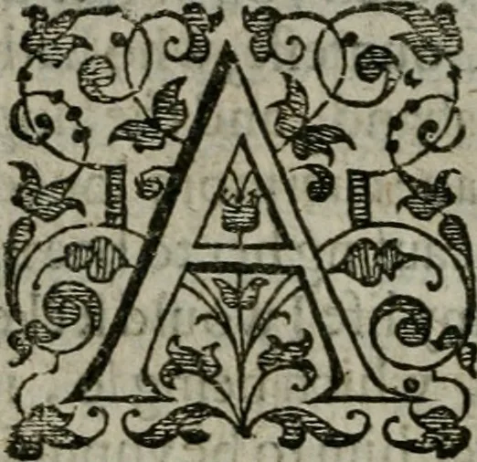 An illustration from The orator: handling a hundred seuerall discourses, in forme of declamations: some of the arguments being drawne from Titus Liuius and other ancient writers, the rest of the authors owne inuention: part of which are of matters happened in our age, 1596, leaf 29