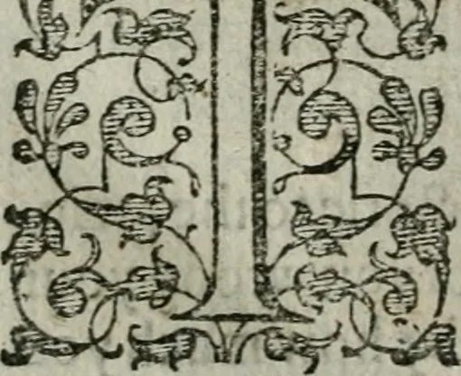 An illustration from The orator: handling a hundred seuerall discourses, in forme of declamations: some of the arguments being drawne from Titus Liuius and other ancient writers, the rest of the authors owne inuention: part of which are of matters happened in our age, 1596, leaf 291