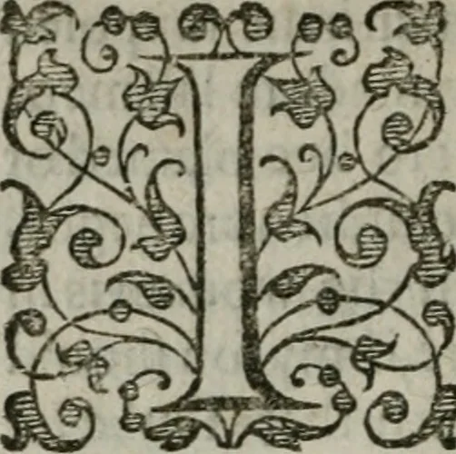 An illustration from The orator: handling a hundred seuerall discourses, in forme of declamations: some of the arguments being drawne from Titus Liuius and other ancient writers, the rest of the authors owne inuention: part of which are of matters happened in our age, 1596, leaf 337