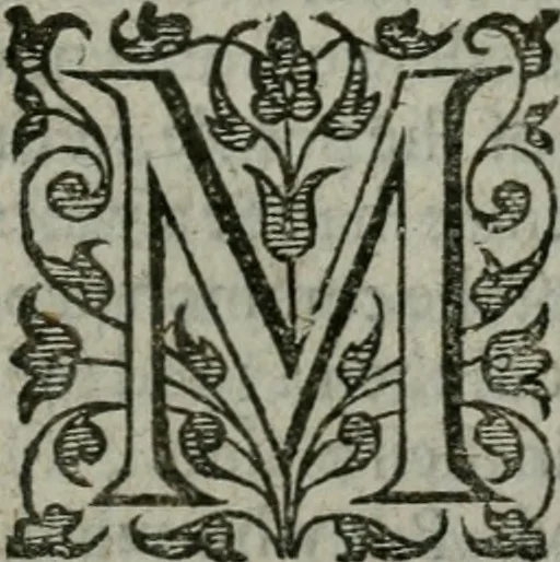An illustration from The orator: handling a hundred seuerall discourses, in forme of declamations: some of the arguments being drawne from Titus Liuius and other ancient writers, the rest of the authors owne inuention: part of which are of matters happened in our age, 1596, leaf 402