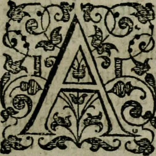 An illustration from The orator: handling a hundred seuerall discourses, in forme of declamations: some of the arguments being drawne from Titus Liuius and other ancient writers, the rest of the authors owne inuention: part of which are of matters happened in our age, 1596, leaf 76