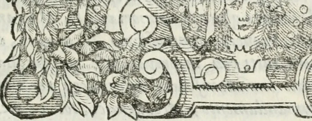 An illustration from Orazione del s.r Alessandro Gvarini, accademico intrepido, detto il Macerato : fatta in lode di D. Alderano Cybo, marchese di Carrara e recitata publicamente nell'Accademia, 1609, leaf 6