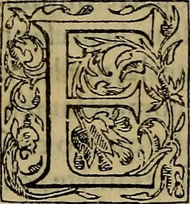 An illustration from Orazione di Lionardo Salviati nella morte di Michelagnolo Bvonarroti, 1564, leaf 8