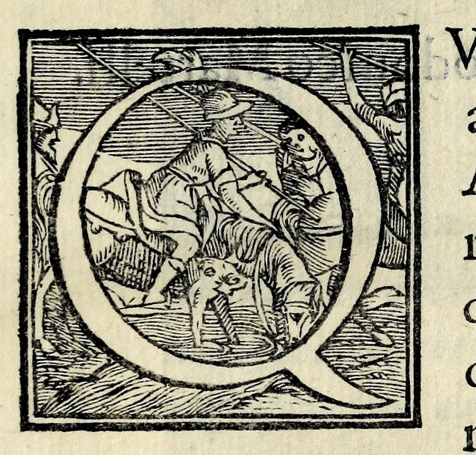 An illustration from Orazione di M. Francesco Bocchi sopra le lodi dell'illustrissimo signor Lorenzo Saluiati, marchese di Giuliano, 1610, leaf 29
