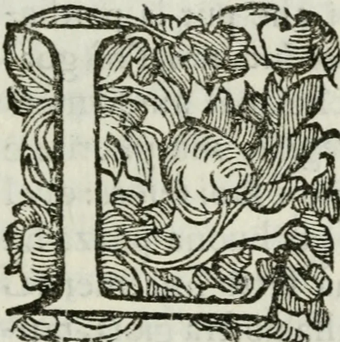 An illustration from Orazione funerale nell'esequie di madama sereniss. Margherita Gonzaga d'Este, duchessa di Ferrara, 1618, leaf 6