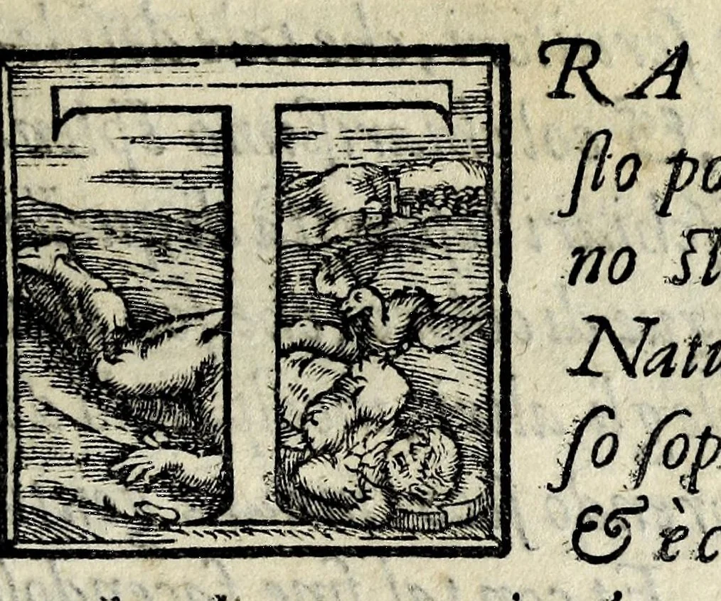 An illustration from Orazione fvnerale del cavaliere Vincenzio Panciatichi : da lui recitata il dì 21. d'aprile l'anno 1598. nell' annuale essequie del gran duca Cosimo, nella chiesa della religion di Santo Stefano in Pisa, 1598, leaf 5