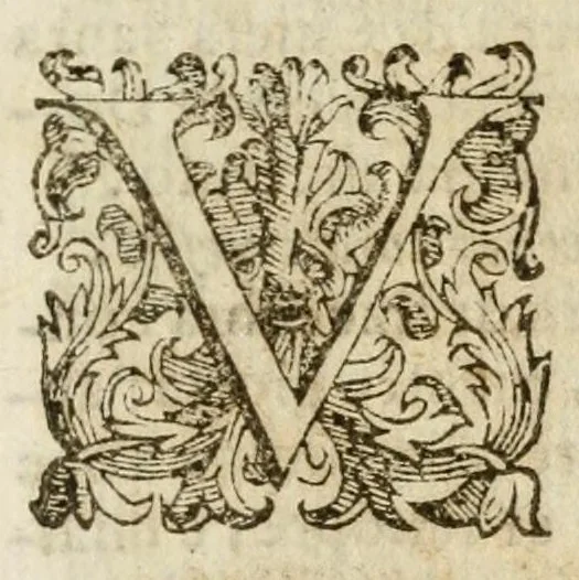 An illustration from Orazione nella vittoria dell'imperatore contro i ribelli di Boemia, 1621, leaf 5