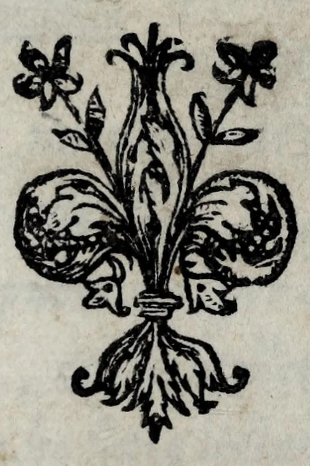 An illustration from Orazione o' vero libro di M. Piero Vettori, delle lodi della serenissima Giovanna d'Austria reina nata d'Vngheria, e Boemia : in volgar fiorentino nuouamente tradotto, 1566, leaf 3