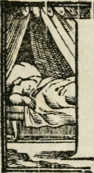 An illustration from Orazion funerale del s. Pietro Angeli da Barga : recitata latina in Firenze nell'esseqvie del serenis.mo d. Francesco Medici, gran duca di Toscana, sotto di 15. di dicemb. M.D.LXXXVII, 1587, leaf 6