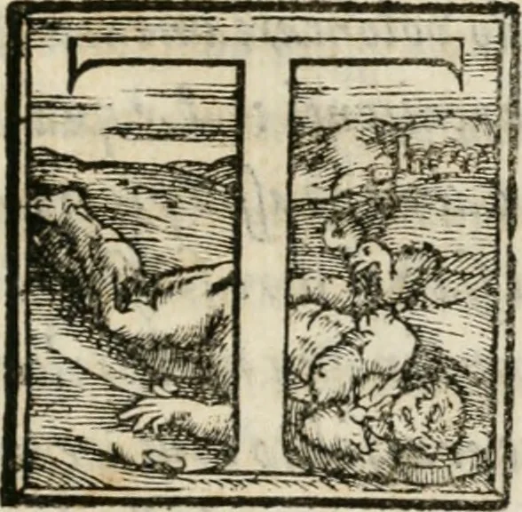 An illustration from Orazion funerale del s. Pietro Angeli da Barga : recitata latina in Firenze nell'esseqvie del serenis.mo d. Francesco Medici, gran duca di Toscana, sotto di 15. di dicemb. M.D.LXXXVII, 1587, leaf 8