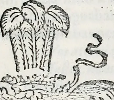 An illustration from Orbis Polonvs, splendoribus caeli: Triumphis mundi: pulchritudine animantium: decore aquatilium: naturae excellentia reptilium, condecoratvs. In qvo antiqva Sarmatarvm gentilitia, pervetvstae nobilitatis polonae insignia, vetera & noua indigenatus meritorum praemia & arma, specificantur & relucent. Nunc primum, vt Latinitati consecratus, ita claritate & veritate perspicuus, 1641, leaf 1082