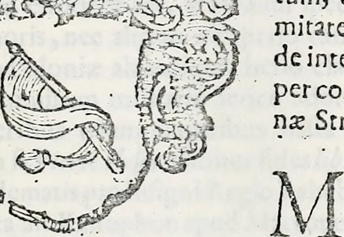 An illustration from Orbis Polonvs, splendoribus caeli: Triumphis mundi: pulchritudine animantium: decore aquatilium: naturae excellentia reptilium, condecoratvs. In qvo antiqva Sarmatarvm gentilitia, pervetvstae nobilitatis polonae insignia, vetera & noua indigenatus meritorum praemia & arma, specificantur & relucent. Nunc primum, vt Latinitati consecratus, ita claritate & veritate perspicuus, 1641, leaf 1082