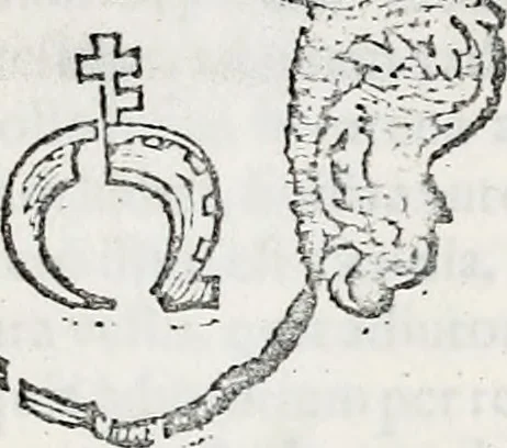 An illustration from Orbis Polonvs, splendoribus caeli: Triumphis mundi: pulchritudine animantium: decore aquatilium: naturae excellentia reptilium, condecoratvs. In qvo antiqva Sarmatarvm gentilitia, pervetvstae nobilitatis polonae insignia, vetera & noua indigenatus meritorum praemia & arma, specificantur & relucent. Nunc primum, vt Latinitati consecratus, ita claritate & veritate perspicuus, 1641, leaf 1136