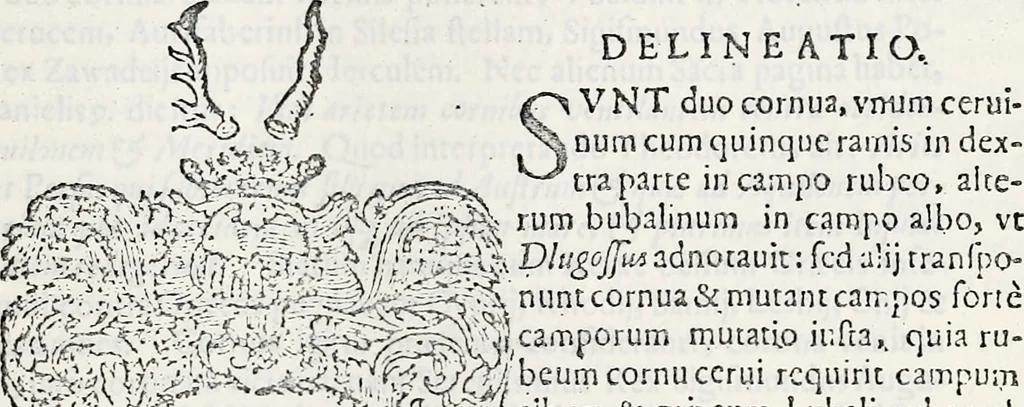 An illustration from Orbis Polonvs, splendoribus caeli: Triumphis mundi: pulchritudine animantium: decore aquatilium: naturae excellentia reptilium, condecoratvs. In qvo antiqva Sarmatarvm gentilitia, pervetvstae nobilitatis polonae insignia, vetera & noua indigenatus meritorum praemia & arma, specificantur & relucent. Nunc primum, vt Latinitati consecratus, ita claritate & veritate perspicuus, 1641, leaf 1256