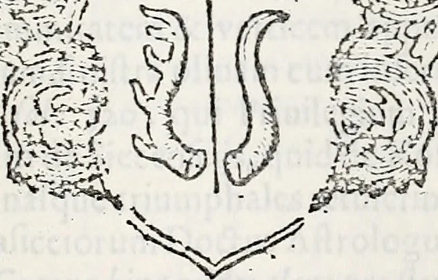 An illustration from Orbis Polonvs, splendoribus caeli: Triumphis mundi: pulchritudine animantium: decore aquatilium: naturae excellentia reptilium, condecoratvs. In qvo antiqva Sarmatarvm gentilitia, pervetvstae nobilitatis polonae insignia, vetera & noua indigenatus meritorum praemia & arma, specificantur & relucent. Nunc primum, vt Latinitati consecratus, ita claritate & veritate perspicuus, 1641, leaf 1256