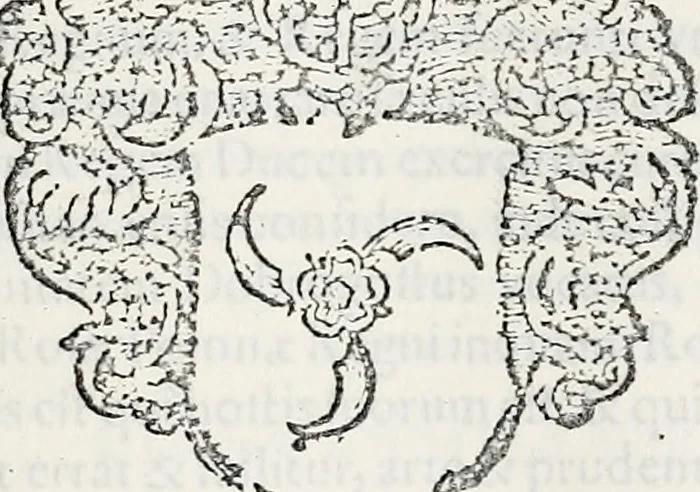 An illustration from Orbis Polonvs, splendoribus caeli: Triumphis mundi: pulchritudine animantium: decore aquatilium: naturae excellentia reptilium, condecoratvs. In qvo antiqva Sarmatarvm gentilitia, pervetvstae nobilitatis polonae insignia, vetera & noua indigenatus meritorum praemia & arma, specificantur & relucent. Nunc primum, vt Latinitati consecratus, ita claritate & veritate perspicuus, 1641, leaf 1292