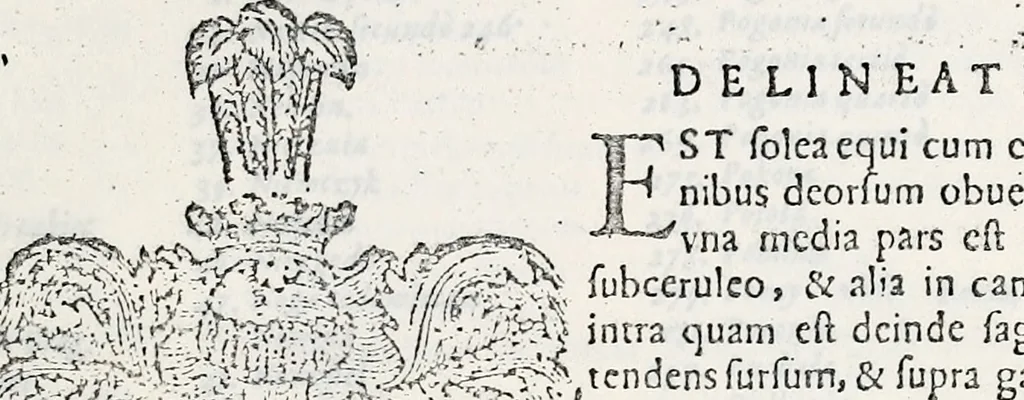 An illustration from Orbis Polonvs, splendoribus caeli: Triumphis mundi: pulchritudine animantium: decore aquatilium: naturae excellentia reptilium, condecoratvs. In qvo antiqva Sarmatarvm gentilitia, pervetvstae nobilitatis polonae insignia, vetera & noua indigenatus meritorum praemia & arma, specificantur & relucent. Nunc primum, vt Latinitati consecratus, ita claritate & veritate perspicuus, 1641, leaf 1356