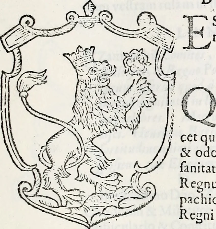 An illustration from Orbis Polonvs, splendoribus caeli: Triumphis mundi: pulchritudine animantium: decore aquatilium: naturae excellentia reptilium, condecoratvs. In qvo antiqva Sarmatarvm gentilitia, pervetvstae nobilitatis polonae insignia, vetera & noua indigenatus meritorum praemia & arma, specificantur & relucent. Nunc primum, vt Latinitati consecratus, ita claritate & veritate perspicuus, 1641, leaf 246