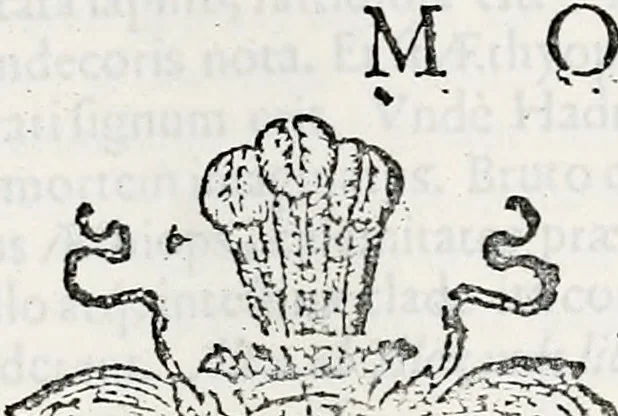 An illustration from Orbis Polonvs, splendoribus caeli: Triumphis mundi: pulchritudine animantium: decore aquatilium: naturae excellentia reptilium, condecoratvs. In qvo antiqva Sarmatarvm gentilitia, pervetvstae nobilitatis polonae insignia, vetera & noua indigenatus meritorum praemia & arma, specificantur & relucent. Nunc primum, vt Latinitati consecratus, ita claritate & veritate perspicuus, 1641, leaf 504