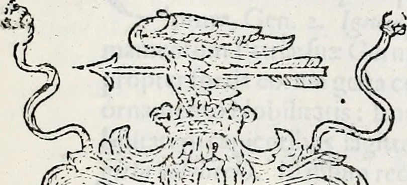 An illustration from Orbis Polonvs, splendoribus caeli: Triumphis mundi: pulchritudine animantium: decore aquatilium: naturae excellentia reptilium, condecoratvs. In qvo antiqva Sarmatarvm gentilitia, pervetvstae nobilitatis polonae insignia, vetera & noua indigenatus meritorum praemia & arma, specificantur & relucent. Nunc primum, vt Latinitati consecratus, ita claritate & veritate perspicuus, 1641, leaf 570