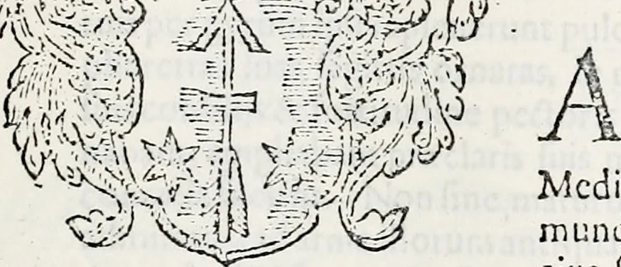 An illustration from Orbis Polonvs, splendoribus caeli: Triumphis mundi: pulchritudine animantium: decore aquatilium: naturae excellentia reptilium, condecoratvs. In qvo antiqva Sarmatarvm gentilitia, pervetvstae nobilitatis polonae insignia, vetera & noua indigenatus meritorum praemia & arma, specificantur & relucent. Nunc primum, vt Latinitati consecratus, ita claritate & veritate perspicuus, 1641, leaf 570