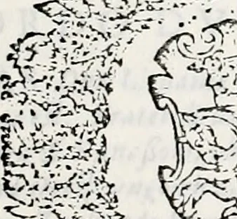 An illustration from Orbis Polonvs, splendoribus caeli: Triumphis mundi: pulchritudine animantium: decore aquatilium: naturae excellentia reptilium, condecoratvs. In qvo antiqva Sarmatarvm gentilitia, pervetvstae nobilitatis polonae insignia, vetera & noua indigenatus meritorum praemia & arma, specificantur & relucent. Nunc primum, vt Latinitati consecratus, ita claritate & veritate perspicuus, 1641, leaf 920