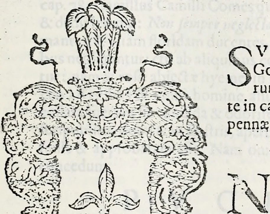An illustration from Orbis Polonvs, splendoribus caeli: Triumphis mundi: pulchritudine animantium: decore aquatilium: naturae excellentia reptilium, condecoratvs. In qvo antiqva Sarmatarvm gentilitia, pervetvstae nobilitatis polonae insignia, vetera & noua indigenatus meritorum praemia & arma, specificantur & relucent. Nunc primum, vt Latinitati consecratus, ita claritate & veritate perspicuus, 1641, leaf 974