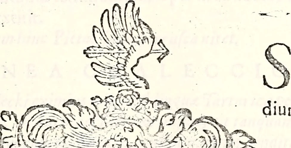 An illustration from Orbis Polonvs, splendoribus caeli: Triumphis mundi: pulchritudine animantium: decore aquatilium: naturae excellentia reptilium, condecoratvs. In qvo antiqva Sarmatarvm gentilitia, pervetvstae nobilitatis polonae insignia, vetera & noua indigenatus meritorum praemia & arma, specificantur & relucent. Nunc primum, vt Latinitati consecratus, ita claritate & veritate perspicuus, 1641, leaf 214