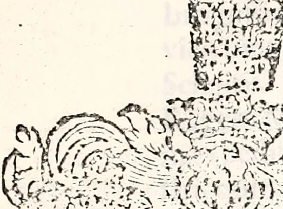 An illustration from Orbis Polonvs, splendoribus caeli: Triumphis mundi: pulchritudine animantium: decore aquatilium: naturae excellentia reptilium, condecoratvs. In qvo antiqva Sarmatarvm gentilitia, pervetvstae nobilitatis polonae insignia, vetera & noua indigenatus meritorum praemia & arma, specificantur & relucent. Nunc primum, vt Latinitati consecratus, ita claritate & veritate perspicuus, 1641, leaf 252