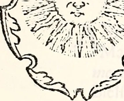 An illustration from Orbis Polonvs, splendoribus caeli: Triumphis mundi: pulchritudine animantium: decore aquatilium: naturae excellentia reptilium, condecoratvs. In qvo antiqva Sarmatarvm gentilitia, pervetvstae nobilitatis polonae insignia, vetera & noua indigenatus meritorum praemia & arma, specificantur & relucent. Nunc primum, vt Latinitati consecratus, ita claritate & veritate perspicuus, 1641, leaf 344