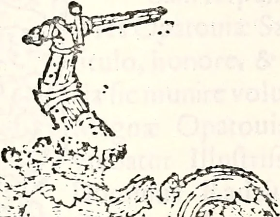 An illustration from Orbis Polonvs, splendoribus caeli: Triumphis mundi: pulchritudine animantium: decore aquatilium: naturae excellentia reptilium, condecoratvs. In qvo antiqva Sarmatarvm gentilitia, pervetvstae nobilitatis polonae insignia, vetera & noua indigenatus meritorum praemia & arma, specificantur & relucent. Nunc primum, vt Latinitati consecratus, ita claritate & veritate perspicuus, 1641, leaf 378