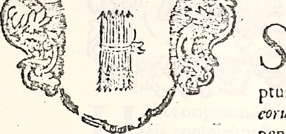 An illustration from Orbis Polonvs, splendoribus caeli: Triumphis mundi: pulchritudine animantium: decore aquatilium: naturae excellentia reptilium, condecoratvs. In qvo antiqva Sarmatarvm gentilitia, pervetvstae nobilitatis polonae insignia, vetera & noua indigenatus meritorum praemia & arma, specificantur & relucent. Nunc primum, vt Latinitati consecratus, ita claritate & veritate perspicuus, 1641, leaf 384