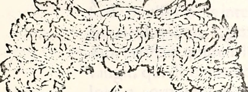 An illustration from Orbis Polonvs, splendoribus caeli: Triumphis mundi: pulchritudine animantium: decore aquatilium: naturae excellentia reptilium, condecoratvs. In qvo antiqva Sarmatarvm gentilitia, pervetvstae nobilitatis polonae insignia, vetera & noua indigenatus meritorum praemia & arma, specificantur & relucent. Nunc primum, vt Latinitati consecratus, ita claritate & veritate perspicuus, 1641, leaf 408