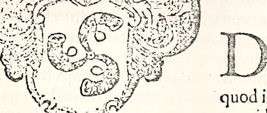 An illustration from Orbis Polonvs, splendoribus caeli: Triumphis mundi: pulchritudine animantium: decore aquatilium: naturae excellentia reptilium, condecoratvs. In qvo antiqva Sarmatarvm gentilitia, pervetvstae nobilitatis polonae insignia, vetera & noua indigenatus meritorum praemia & arma, specificantur & relucent. Nunc primum, vt Latinitati consecratus, ita claritate & veritate perspicuus, 1641, leaf 466