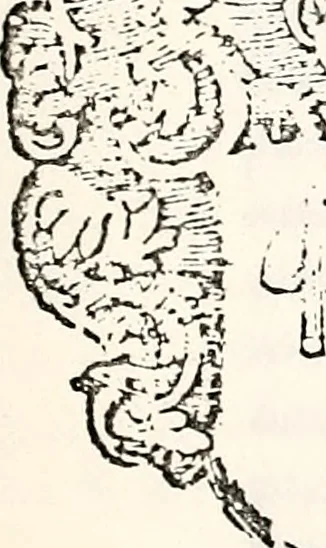An illustration from Orbis Polonvs, splendoribus caeli: Triumphis mundi: pulchritudine animantium: decore aquatilium: naturae excellentia reptilium, condecoratvs. In qvo antiqva Sarmatarvm gentilitia, pervetvstae nobilitatis polonae insignia, vetera & noua indigenatus meritorum praemia & arma, specificantur & relucent. Nunc primum, vt Latinitati consecratus, ita claritate & veritate perspicuus, 1641, leaf 524