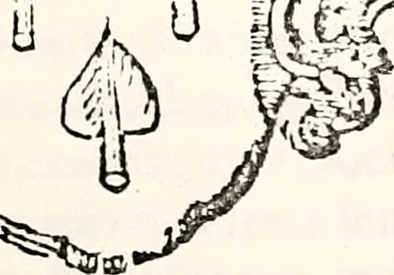An illustration from Orbis Polonvs, splendoribus caeli: Triumphis mundi: pulchritudine animantium: decore aquatilium: naturae excellentia reptilium, condecoratvs. In qvo antiqva Sarmatarvm gentilitia, pervetvstae nobilitatis polonae insignia, vetera & noua indigenatus meritorum praemia & arma, specificantur & relucent. Nunc primum, vt Latinitati consecratus, ita claritate & veritate perspicuus, 1641, leaf 524