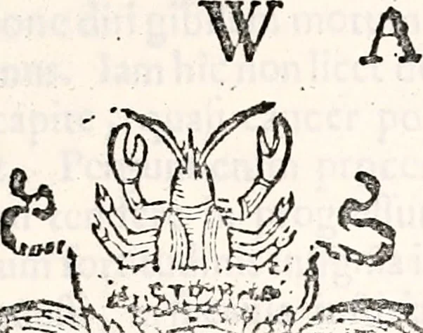 An illustration from Orbis Polonvs, splendoribus caeli: Triumphis mundi: pulchritudine animantium: decore aquatilium: naturae excellentia reptilium, condecoratvs. In qvo antiqva Sarmatarvm gentilitia, pervetvstae nobilitatis polonae insignia, vetera & noua indigenatus meritorum praemia & arma, specificantur & relucent. Nunc primum, vt Latinitati consecratus, ita claritate & veritate perspicuus, 1641, leaf 562