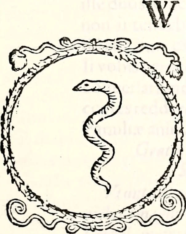 An illustration from Orbis Polonvs, splendoribus caeli: Triumphis mundi: pulchritudine animantium: decore aquatilium: naturae excellentia reptilium, condecoratvs. In qvo antiqva Sarmatarvm gentilitia, pervetvstae nobilitatis polonae insignia, vetera & noua indigenatus meritorum praemia & arma, specificantur & relucent. Nunc primum, vt Latinitati consecratus, ita claritate & veritate perspicuus, 1641, leaf 568
