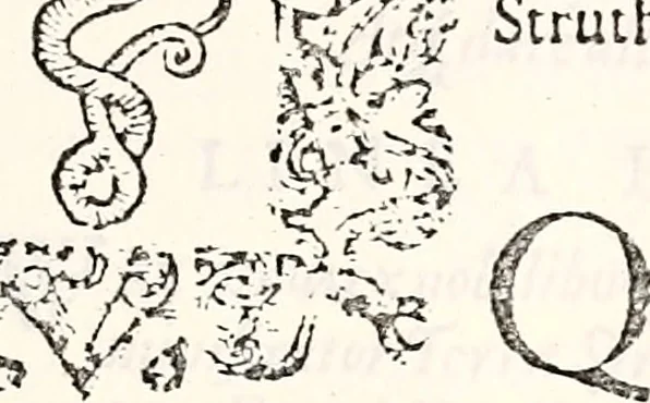 An illustration from Orbis Polonvs, splendoribus caeli: Triumphis mundi: pulchritudine animantium: decore aquatilium: naturae excellentia reptilium, condecoratvs. In qvo antiqva Sarmatarvm gentilitia, pervetvstae nobilitatis polonae insignia, vetera & noua indigenatus meritorum praemia & arma, specificantur & relucent. Nunc primum, vt Latinitati consecratus, ita claritate & veritate perspicuus, 1641, leaf 572